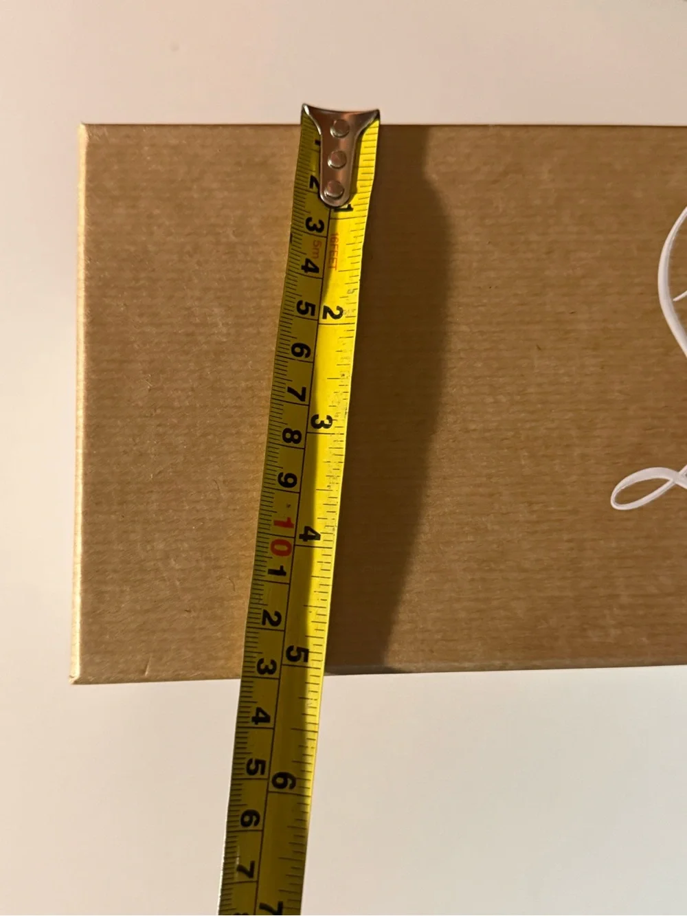 Christian Louboutin Brown Designer Shoebox with White Logo